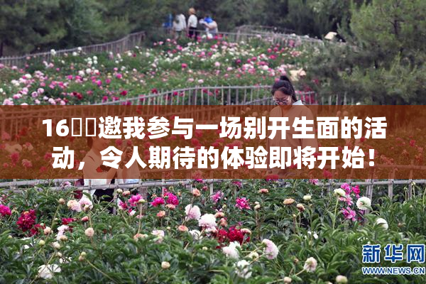 16妺妺邀我参与一场别开生面的活动，令人期待的体验即将开始！