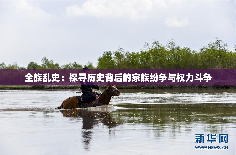 全族乱史：探寻历史背后的家族纷争与权力斗争