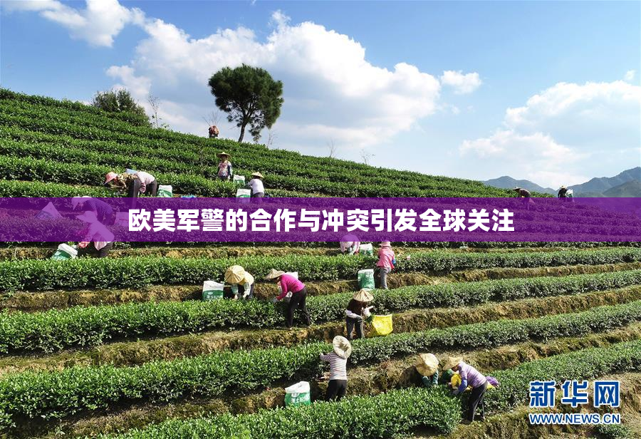 欧美军警的合作与冲突引发全球关注