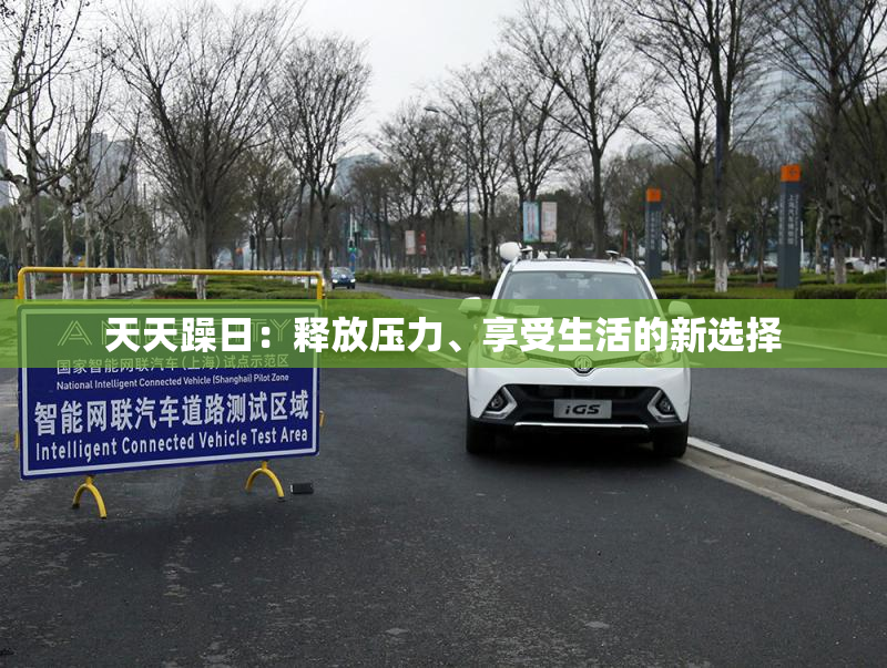 天天躁日：释放压力、享受生活的新选择