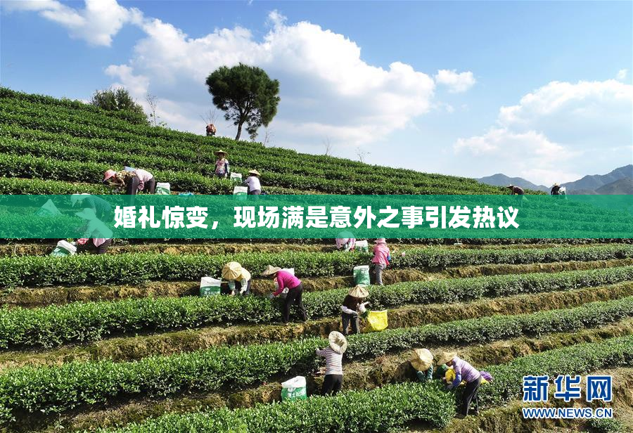 婚礼惊变，现场满是意外之事引发热议