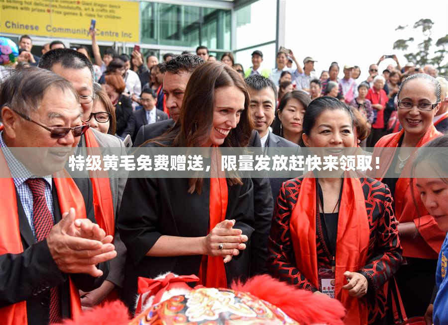 特级黄毛免费赠送，限量发放赶快来领取！