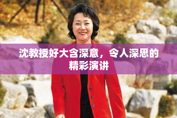沈教授好大含深意，令人深思的精彩演讲