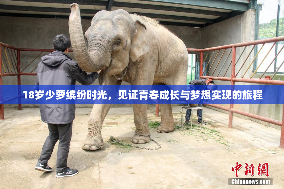 18岁少萝缤纷时光，见证青春成长与梦想实现的旅程