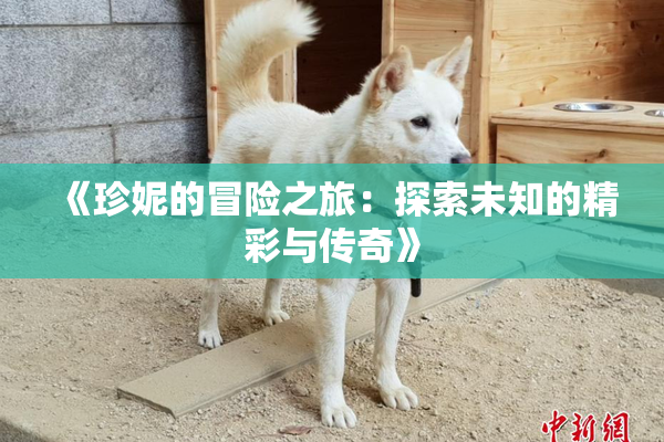 《珍妮的冒险之旅：探索未知的精彩与传奇》
