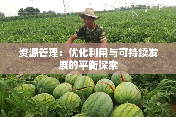 资源管理：优化利用与可持续发展的平衡探索