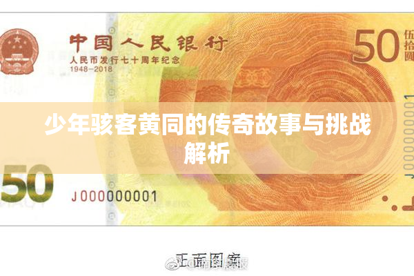 少年骇客黄同的传奇故事与挑战解析