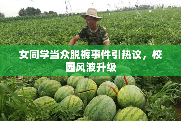 女同学当众脱裤事件引热议，校园风波升级