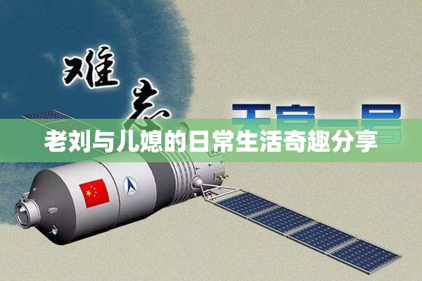 老刘与儿媳的日常生活奇趣分享