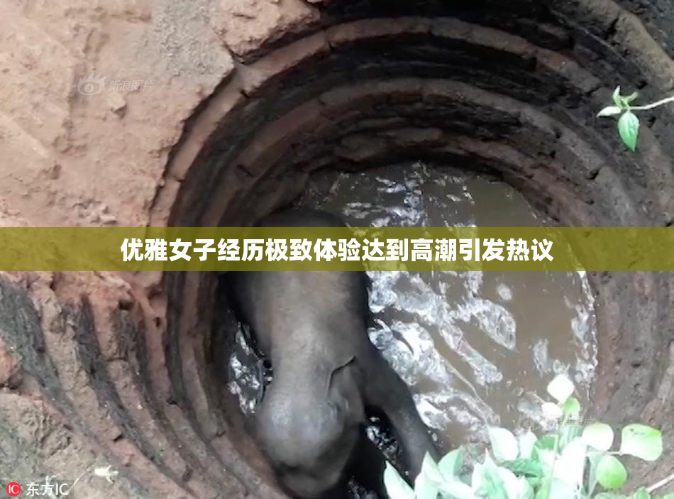 优雅女子经历极致体验达到高潮引发热议