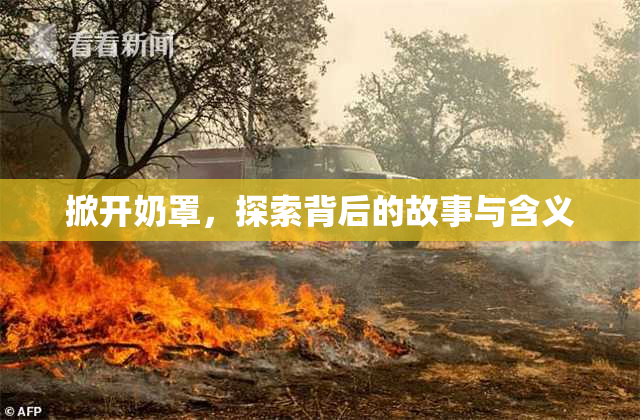 掀开奶罩，探索背后的故事与含义