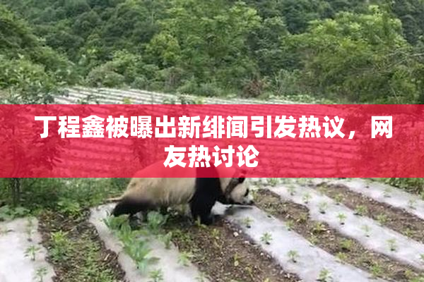 丁程鑫被曝出新绯闻引发热议，网友热讨论