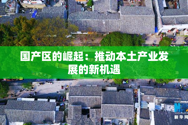 国产区的崛起：推动本土产业发展的新机遇