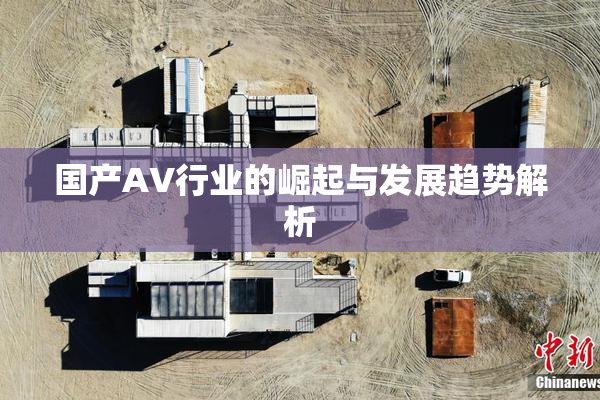 国产AV行业的崛起与发展趋势解析