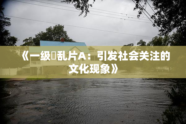 《一级婬乱片A：引发社会关注的文化现象》