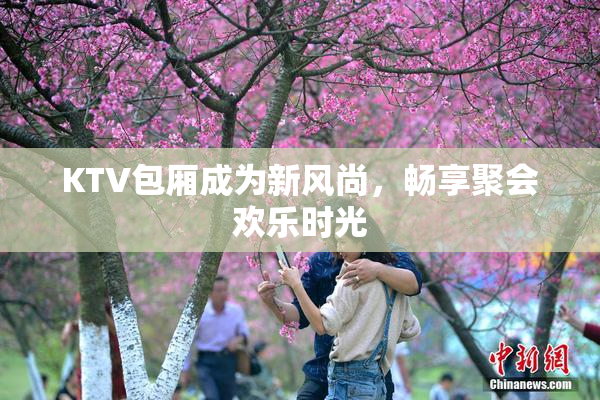 KTV包厢成为新风尚，畅享聚会欢乐时光