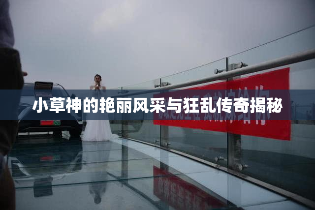 小草神的艳丽风采与狂乱传奇揭秘