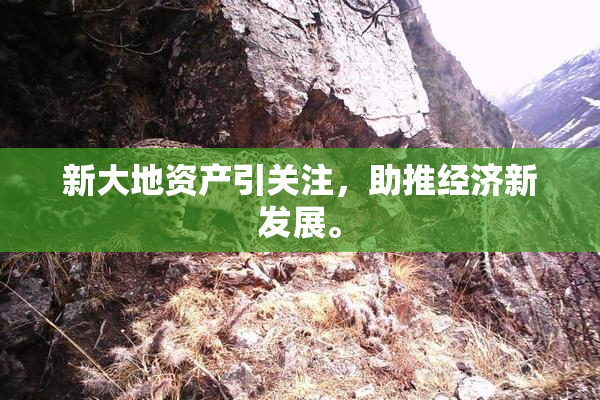 新大地资产引关注，助推经济新发展。