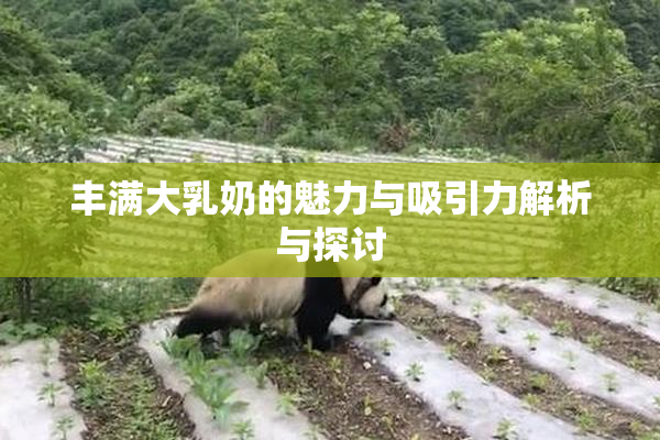 丰满大乳奶的魅力与吸引力解析与探讨