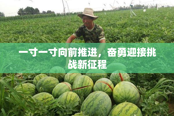 一寸一寸向前推进，奋勇迎接挑战新征程