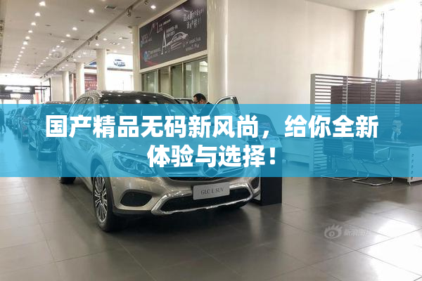 国产精品无码新风尚，给你全新体验与选择！