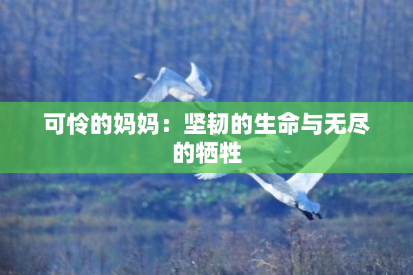 可怜的妈妈：坚韧的生命与无尽的牺牲