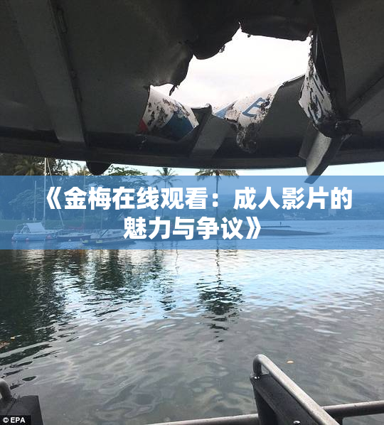 《金梅在线观看：成人影片的魅力与争议》