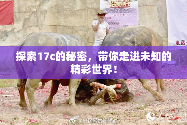 探索17c的秘密，带你走进未知的精彩世界！