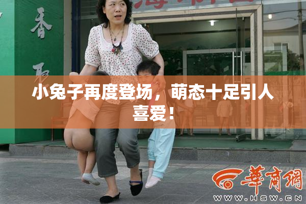 小兔子再度登场，萌态十足引人喜爱！