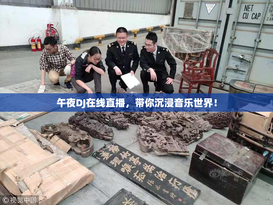 午夜DJ在线直播，带你沉浸音乐世界！