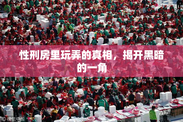性刑房里玩弄的真相，揭开黑暗的一角
