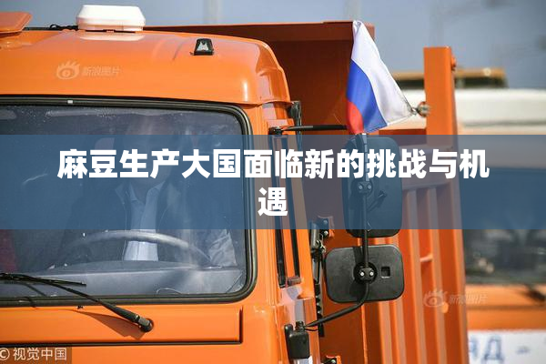 麻豆生产大国面临新的挑战与机遇