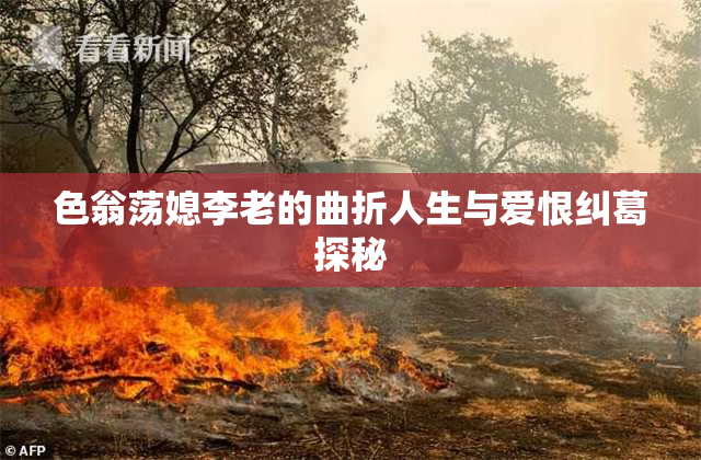 色翁荡媳李老的曲折人生与爱恨纠葛探秘