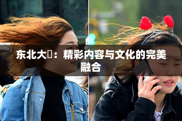 东北大鷄：精彩内容与文化的完美融合