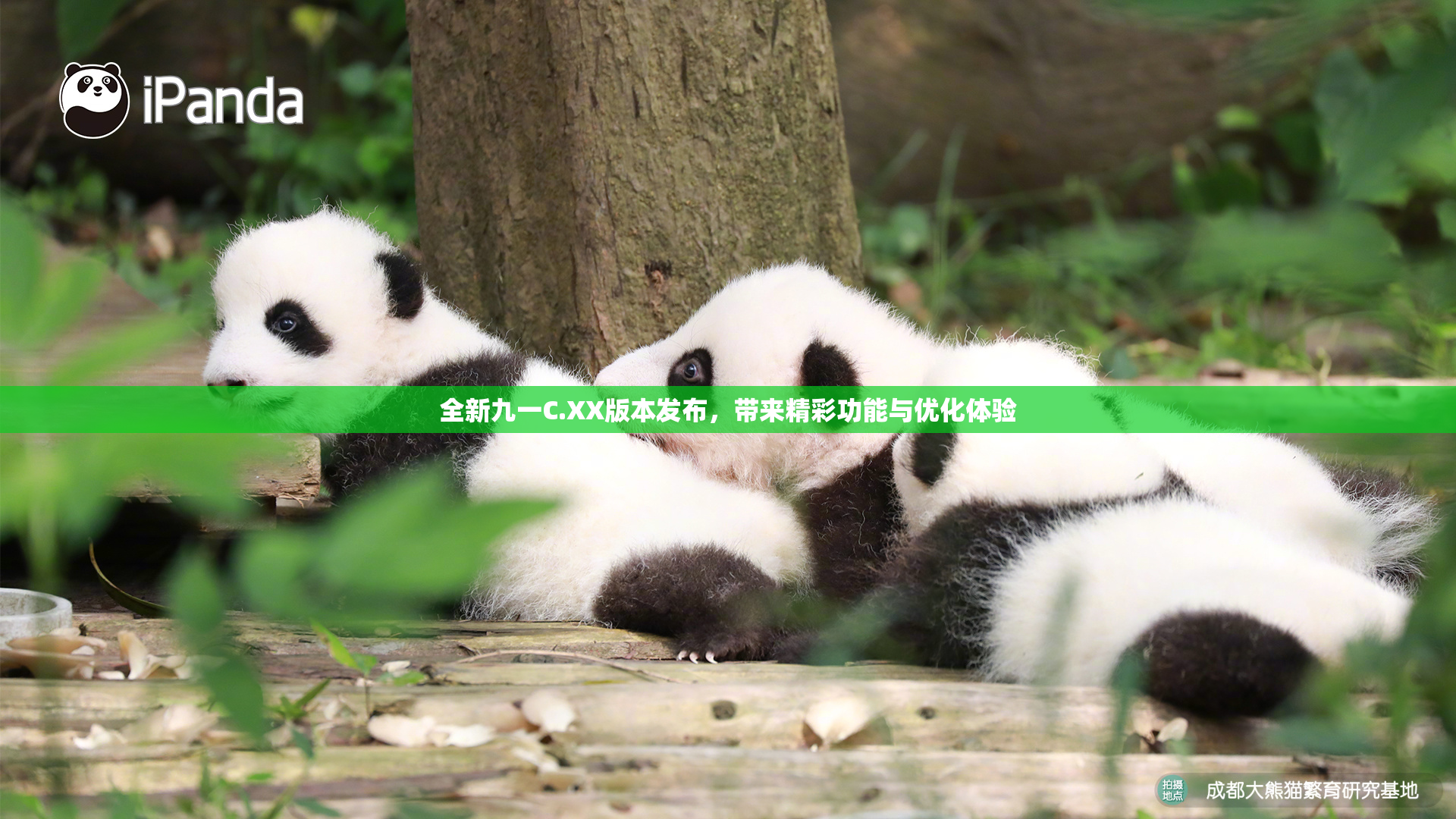 全新九一C.XX版本发布，带来精彩功能与优化体验