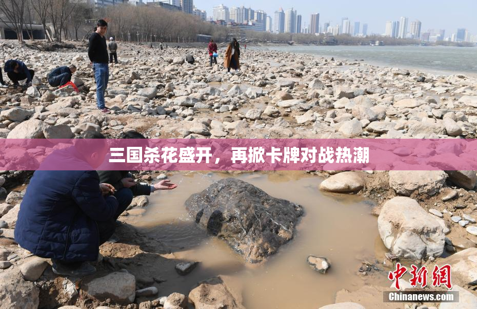 三国杀花盛开，再掀卡牌对战热潮