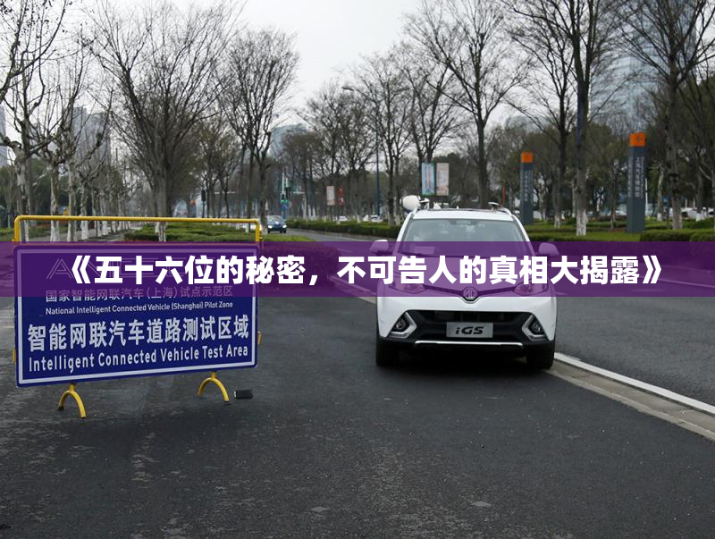 《五十六位的秘密，不可告人的真相大揭露》