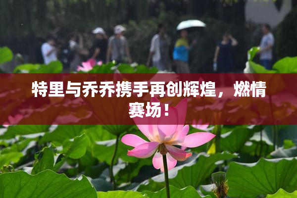 特里与乔乔携手再创辉煌，燃情赛场！