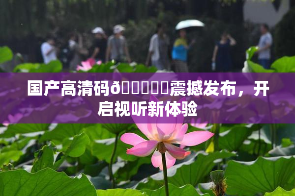 国产高清码🔞❌‌震撼发布，开启视听新体验