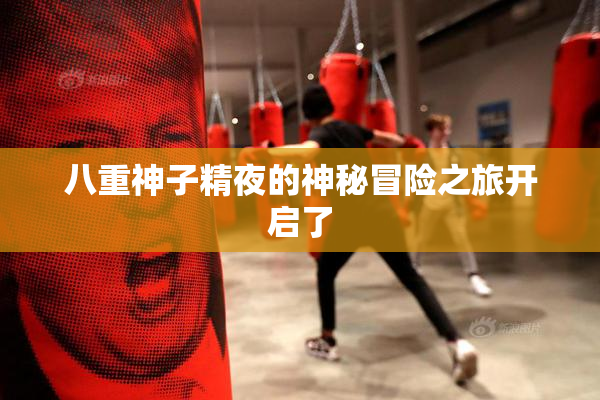 八重神子精夜的神秘冒险之旅开启了