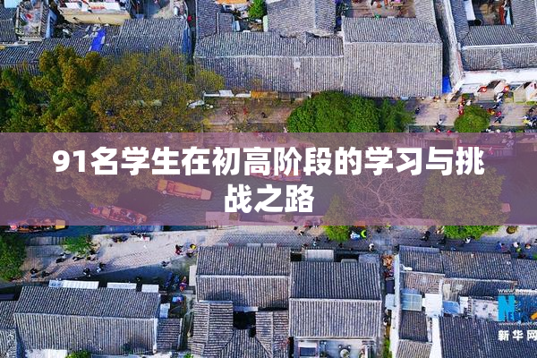 91名学生在初高阶段的学习与挑战之路