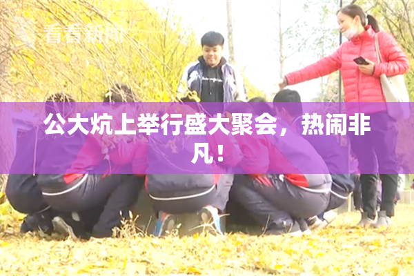 公大炕上举行盛大聚会，热闹非凡！