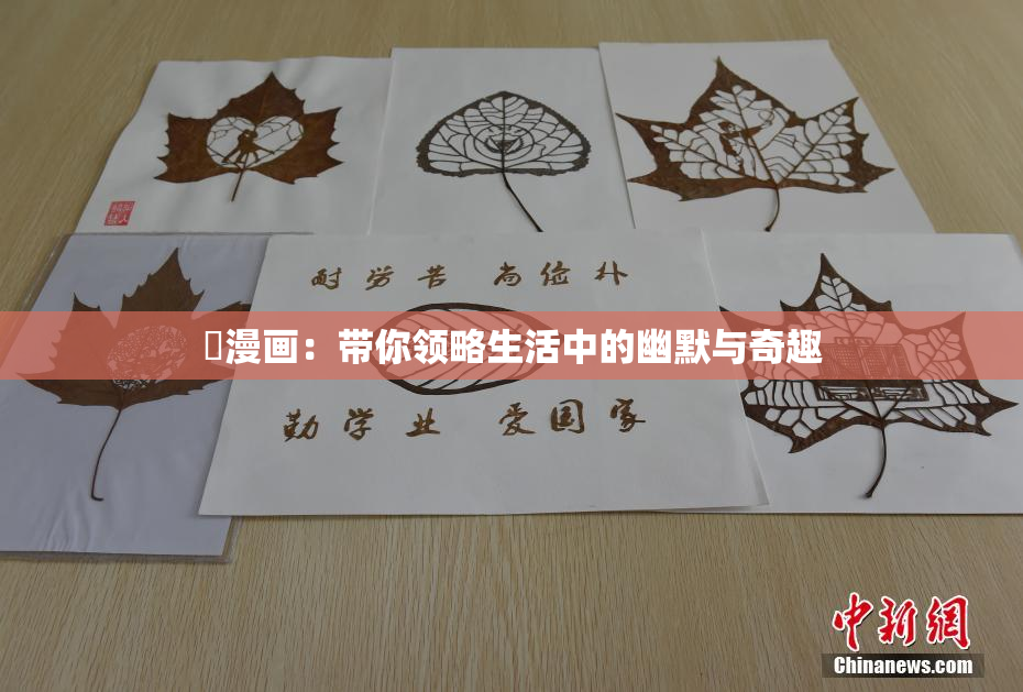 囧漫画：带你领略生活中的幽默与奇趣