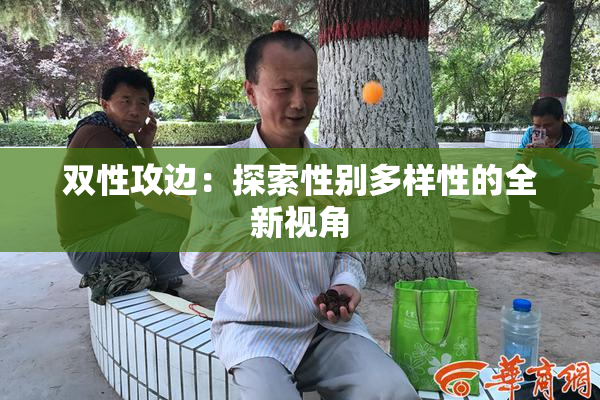 双性攻边：探索性别多样性的全新视角