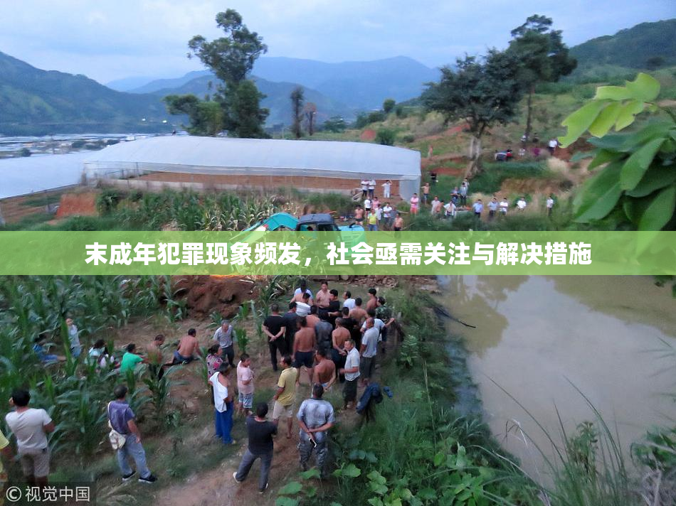 末成年犯罪现象频发，社会亟需关注与解决措施