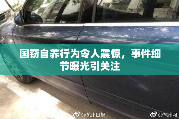 国窃自养行为令人震惊，事件细节曝光引关注