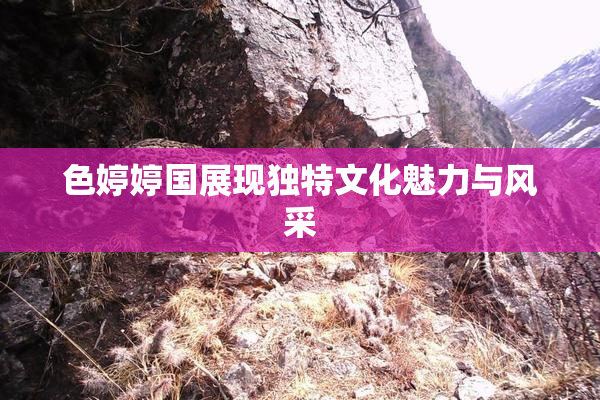 色婷婷国展现独特文化魅力与风采