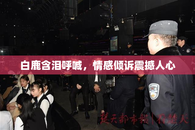 白鹿含泪呼喊，情感倾诉震撼人心
