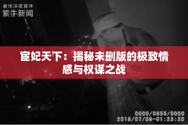 宦妃天下：揭秘未删版的极致情感与权谋之战