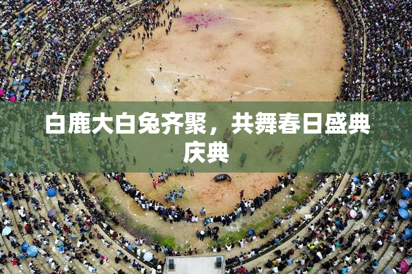 白鹿大白兔齐聚，共舞春日盛典庆典